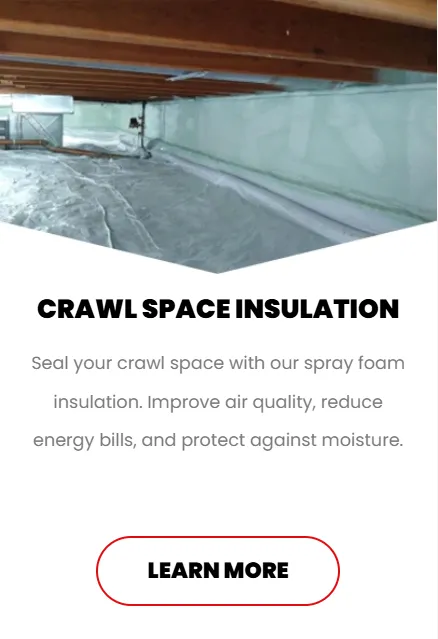 Crawl space with foam spray insulation